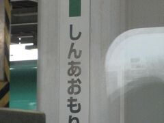 北海道新幹線 はやぶさ18号 (新青森駅) 