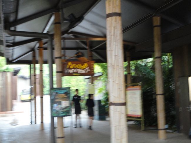 30分待ったところ、船を動かすとのことで、アマゾンリバークエストを選びました！