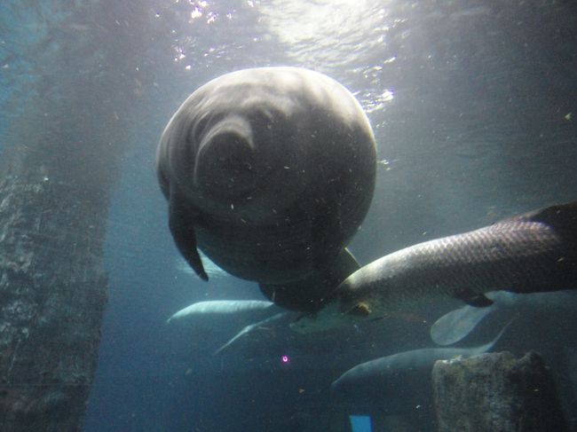 こっち向いてくれました！