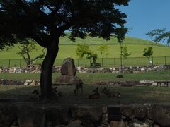 三月堂〜手向山八幡宮を通り、若草山の麓の道に出ました。
登ることもできるみたいですが、ちょっとキツいかも…
（時間的にも ^_^;)