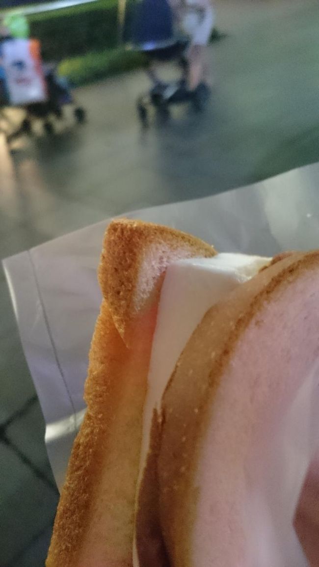 パンにはさんだアイスクリームです。<br /><br />１．２ドルでした。<br /><br /><br />シンガポールのセブンに売っているアイスを買って食べるより、このようなアイスを食べたほうが楽しいと思いますよ♪安いしね(^^)