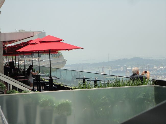 うっすらと、プールが見えますね。<br /><br />あぁ、プールに入って眺めたいなぁ、、、<br /><br /><br />そんなことを思いつつ、お昼を食べにラッフルズプレイス方面へ向かいました。