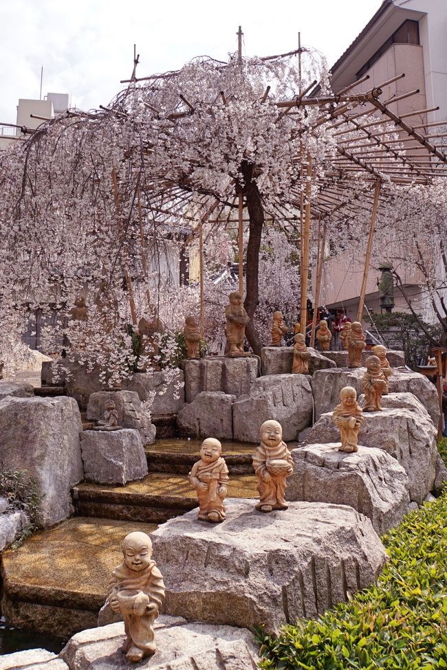 御幸桜が咲く【六角堂】へお地蔵さん＆十六羅漢さんを見に