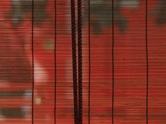 春日大社到着。
朱塗りの柱と沢山の灯籠が美しい神社です。
が、境内は20年に一度の「式年造替」の工事があちこちで行われていて
撮影スポットは限られてしまいました。