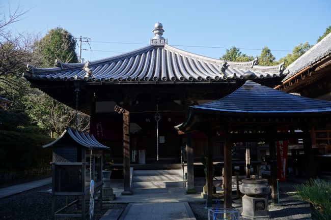 いくつかの堂宇がまとまった落ち着きのある雰囲気。