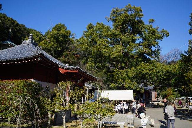 今日はいい天気だし、これなら参詣者の皆さんも気持ちがいっそう弾んでいるでしょう。