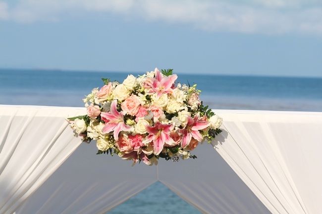 暑いサムイで生花は派手る