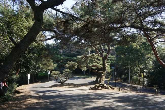 次に向かったのは、銭形砂絵を見下ろす展望所。琴弾公園から登る一方通行の道路を上がった先です。