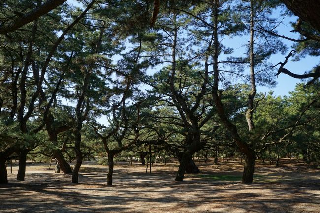 展望所を降りて、砂絵の近くまでやってきました。<br />この琴弾公園は、琴弾山と有明浜周辺を一体として整備したものです。<br />