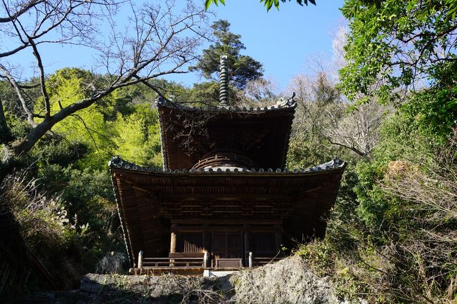 境内全域は山の斜面に張り付いたような場所。山岳仏教の聖地と言った雰囲気が強く感じられました。<br />