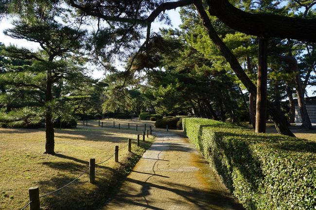 遊歩道が奥へと延びて、想像していたよりずっと広いですね。<br />ちなみに、この庭園は丸亀藩主、京極高豊の命により、貞享5年（1688年）に造られた面積5haの池泉回遊式大名庭園。