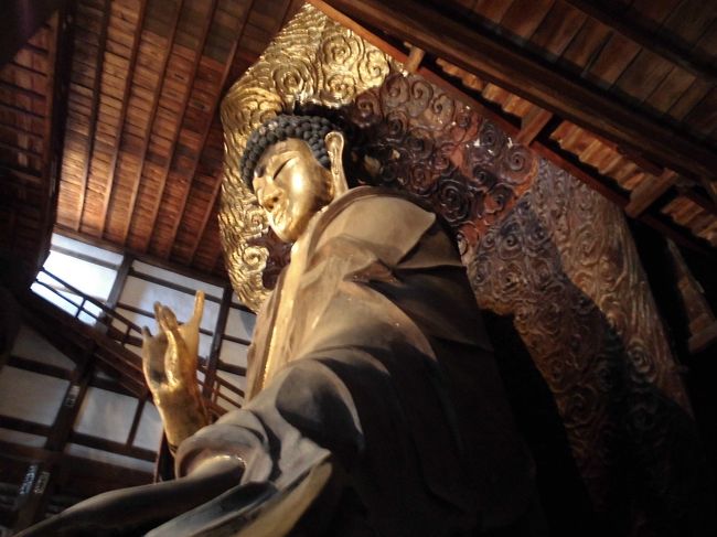 　横から見た大仏様です。奈良、鎌倉と造りが違うそうです。大銀杏を直柱として竹材や粘土で造り、漆、金箔で仕上げられているとのことです。