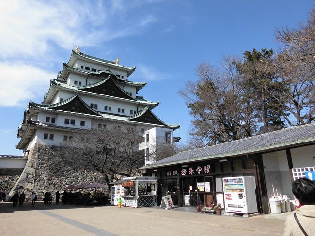 　天守閣に上りました。足の悪い私には嬉しいエレベーターがありました。５階から７階の展望室までは階段ですが、急ではなく広い階段でした。久しぶりに天守閣まで登り嬉しかったです。