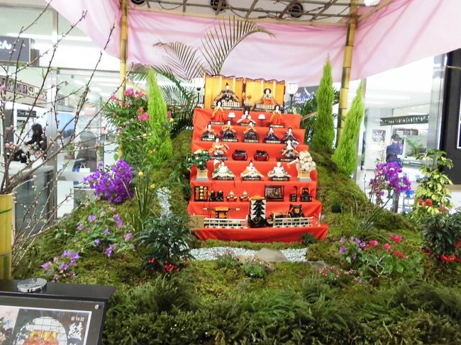 　宮崎空港に戻ってくるとロビーに雛人形がかざってありました。綾の雛山飾りだそうです。ずっと前に綾町出見たけれどここで見るとまた違う感じに見えます。私たちにお帰りといってくれているようでした。