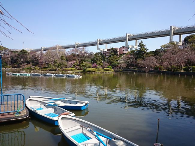 昨日から暖かくなった首都圏。<br /><br />パッと見た感じ千葉は満開ではありません。６分咲きかな。<br /><br />人がいないところを写したのでガラガラに見えますが暖かいので大勢が散歩や花見を楽しんでいます。<br /><br />奥に見えるのが・・