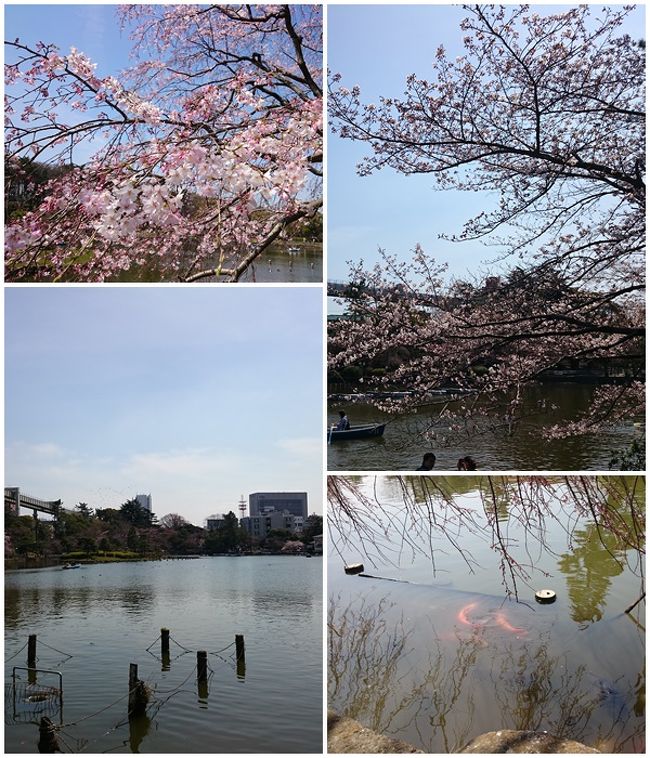 男性メンバー曰く「花も女性ももうじき咲くくらいがいいんだよね〜」<br /><br />たしかに！<br /><br />・・ってことは私たちは？？？