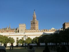 セビージャの1時間半の観光でカテドラルから旧市街を散策しながら
イスラム式の王宮の
アルカサル デ セビリア
Alcazar de Sevilla
を観光しました。
王宮の庭からカテドラルと青い空に映えるヒラルダの塔。
王宮はそれほど大きくないが敷地は広くムリーリョ公園と一体になっていました。