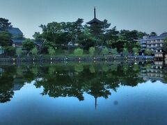 一旦ホテルに戻り、チェックインを済ませてから
夕食がてら三条通りを猿沢池まで歩いて来ました。

池の向こうに興福寺の五重の塔が見えます。