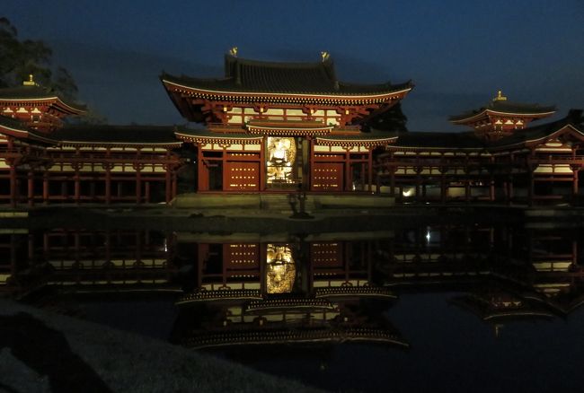 2016春、京都の桜(12/13):宇治平等院(1):宇治平等院へ、ライト 2016春、京都の桜(12/13):宇治平等院(1):宇治平等院へ、ライト