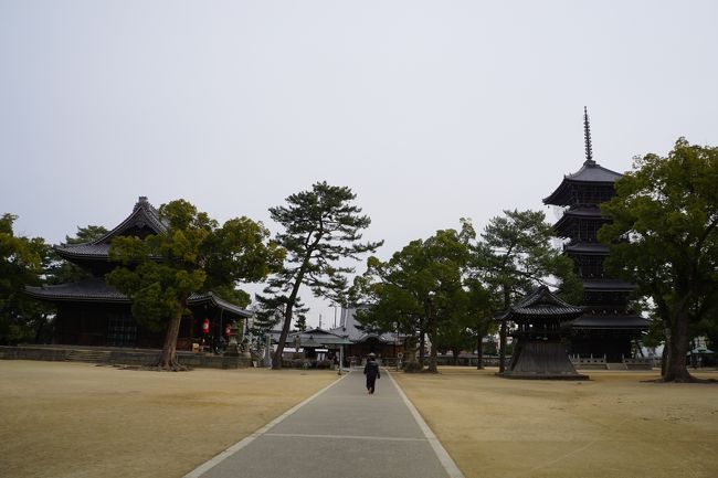 懐かしい眺めの本堂と五重塔です。