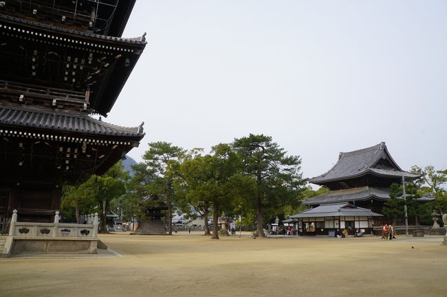 五重塔から本堂を見るアングルもイマイチかなあ。