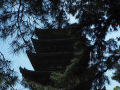 （写真は五重の塔ですが）早速国宝館へ。
内部は撮影禁止なので、阿修羅像などの写真はありません。

阿修羅像を代表として、数々の仏像を見られます。
阿修羅像は古代インドでは闘いを好む悪神だったが
仏教に帰依してからは釈迦の守護神となったとのこと。
憂いを帯びた、少年のような表情にも見えます。
八部衆といわれる、インドで古くから信じられてきた異教の神様の１人。

中にはアジアでよく見られる、鳥の顔の仏様も。
仏教はやっぱりインドからアジア各地に根を下ろし、
土着の宗教の影響も受けながら、日本まで到達したんだなと改めて感じます。