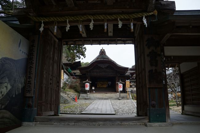 今度は社務所門。これは、表書院の門のこと。かつて、この書院に社務所があったことから、門だけは今でも社務所門と呼ばれているのだそうです。ただ、ここに立つと門よりも奥に見える大きな書院の玄関の方が気になります。応挙の襖絵とかが有名なので、時間があればどうぞ。以前、伊藤若冲の企画展がここであって、それと一緒に拝見しました。何か、イベントがあると寄りやすいかもしれません。