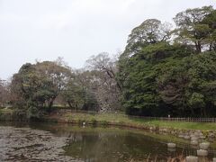 福岡タワーを出た我々が向かったのは、福岡城址です。

ここは舞鶴公園と呼ばれています。