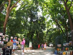 【休日のパウリスタ大通り】

ここは『テネンチ・シケイラ・カンポス公園Parque Tenente siqueira Campos』と呼ばれる森林浴ができる大きな公園。パウリスタ大通り沿いにあります。

個人的には、大好きな公園なのですが...