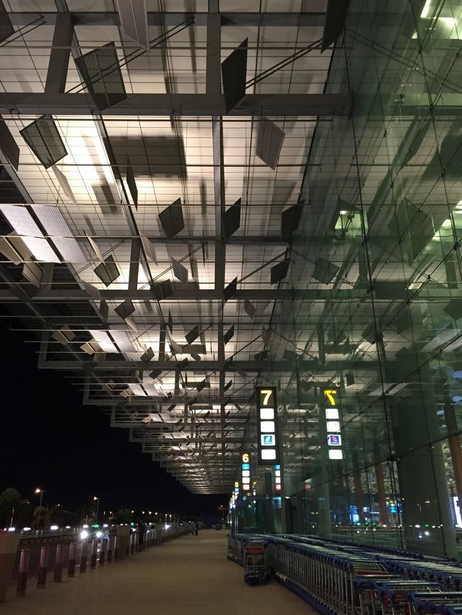 チャンギ国際空港ターミナル３に到着