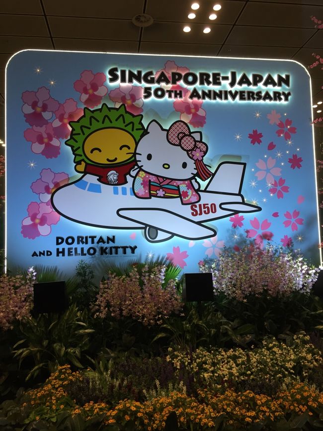 キティちゃん、お出迎え〜.