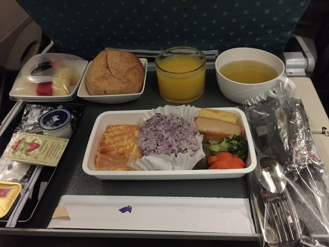 私は和食.ここには映っていないけど、シンガポールスリングと白ワインを頼む,