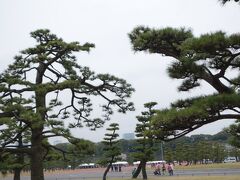 東京駅を出て皇居方向に歩いていきます。
遠くから見てもまだあまり人は居なさそう〜ラッキー！