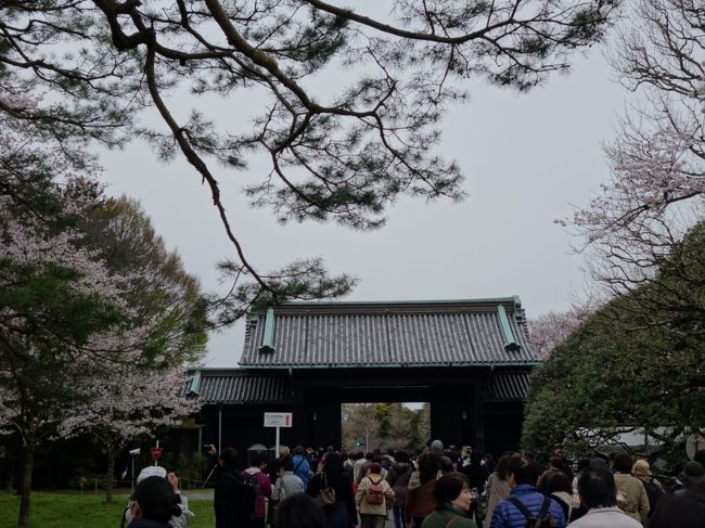 16年 春期 皇居 乾通り 通り抜けからの千鳥ヶ淵 武道館 田安門の桜 丸の内 大手町 八重洲 東京 の旅行記 ブログ By Nshiさん フォートラベル 16年 春期 皇居 乾通り 通り抜けからの千鳥ヶ淵 武道館 田安門の桜 丸の内 大手町 八重洲 東京 の旅行記 ブログ By Nshiさん フォートラベル