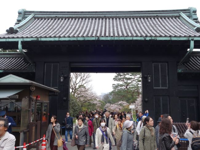 16年 春期 皇居 乾通り 通り抜けからの千鳥ヶ淵 武道館 田安門の桜 丸の内 大手町 八重洲 東京 の旅行記 ブログ By Nshiさん フォートラベル 16年 春期 皇居 乾通り 通り抜けからの千鳥ヶ淵 武道館 田安門の桜 丸の内 大手町 八重洲 東京 の旅行記 ブログ By Nshiさん フォートラベル