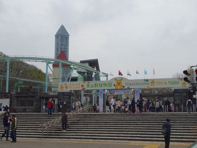 東山動植物園でサクラのお花見をしました 植物園のサクラはすごかった 千種 今池 愛知県 の旅行記 ブログ By Nomonomoさん フォートラベル
