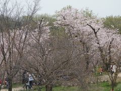 帰りは，地下鉄の星が丘から。