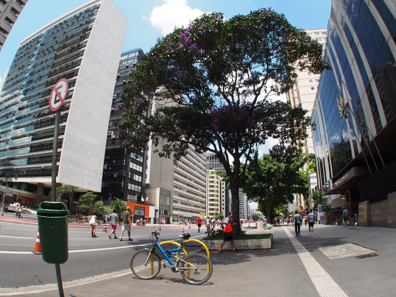 ブラジルは人の命よりも木を大切にする国なので、大都市の中にもたくさんの緑があります。個人の敷地内にある木でさえも政府の許可を取らずに切ると、罰金かつ最悪牢屋送りになります。