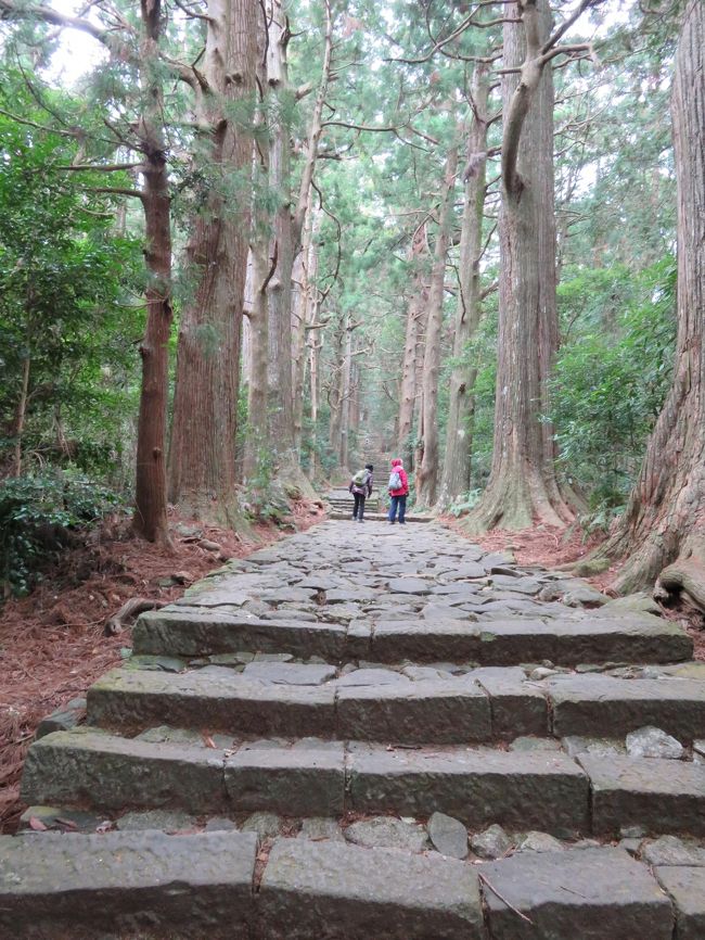 大門坂<br /><br />熊野古道、神秘的な山道でした。<br />ただし長い…(那智大社まで1.2km)。<br />前を歩いていた方々も疲れてたなー(^^;)