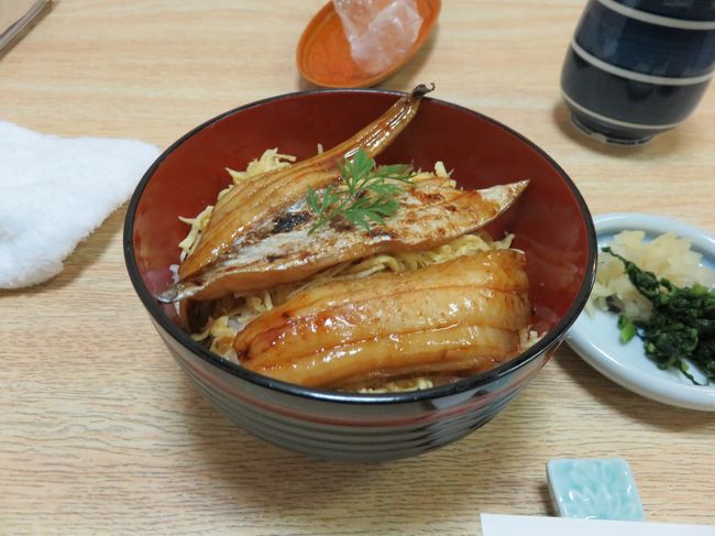 夜は、太刀魚丼。<br />見た目は穴子っぽいけど、食感、味は全く別物でした。<br />さっぱりしてて、これはこれでありです。<br /><br />1日目はこれで終了！