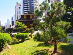 ここクリチバは、ブラジルで最も住みやすいといわれる街の一つ。過去にブラジルに移民した日本人の一部がこの街にも住居を構え、そして社会に根付いて、長い時間を掛けて日系コミュニティを広げて行ったようです。