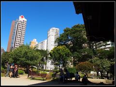 ブラジルの各地には、大小さまざまな....同じような日本庭園がたくさん存在します。