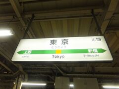 そして小田原からは始発を狙って乗って東京駅まで。
東京上野ラインのため終点と余裕をもって降りれない、それがちょっと間隔が違うのですが、とりあえず無事に東京に戻りました。