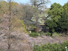 桜の奥に王子神社の本堂が見えます。