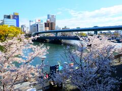 こちら天満橋も桜に囲まれていました。
普段は人工物に囲まれている橋もこのように春の雰囲気が漂います。