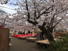 そして八坂から円山公園へ向かいます