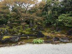 お庭を見せてくれます
拝観料500円が無料に