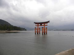厳島神社と言えばこの鳥居ですね！
満潮時にはこの鳥居を潜る舟に乗れるそうですが、今は干潮時間なので出て無かったです…残念…