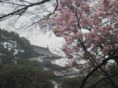 富士見櫓と皇居内の桜