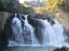 次は関之尾の滝に行ってみました。吊り橋から眺める滝は大きく、勢いがあり圧巻です。